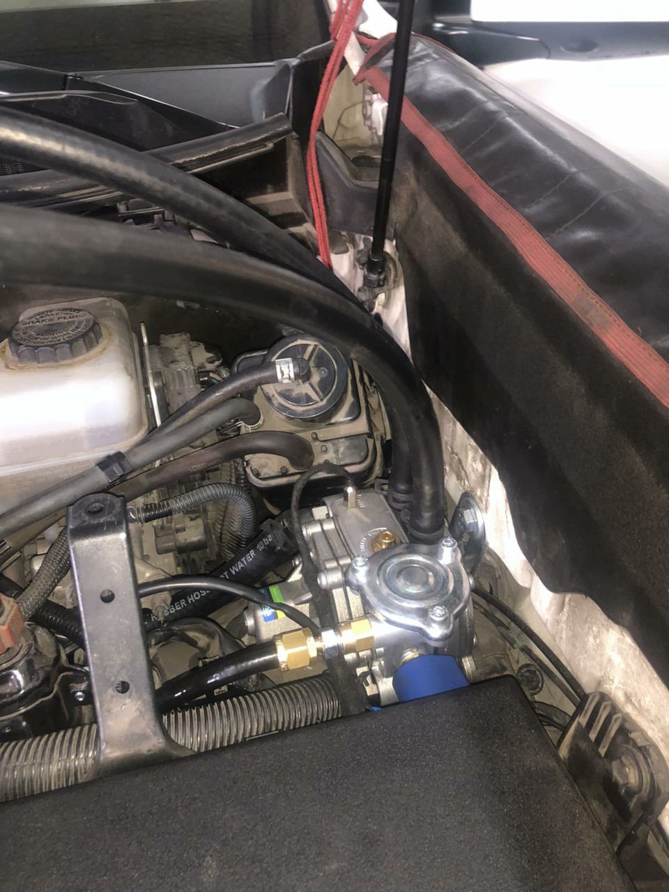 Фото звіт 5