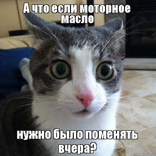 Чергове Т.О 1