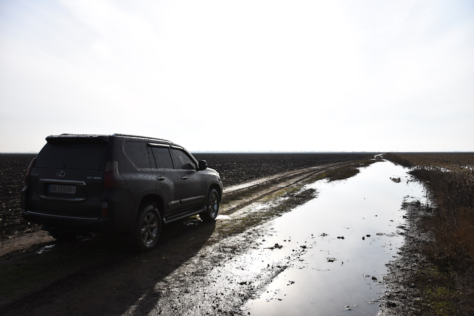 Lexus GX 460 Легкі покатушки 2