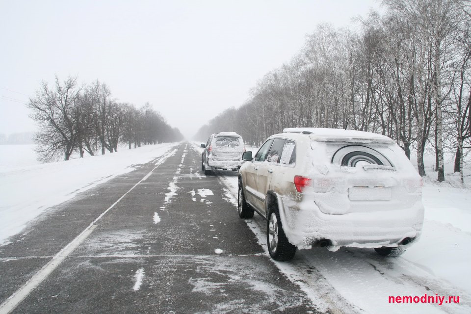 032 Два джипи та Біла весна з Леонідом Немодним 5
