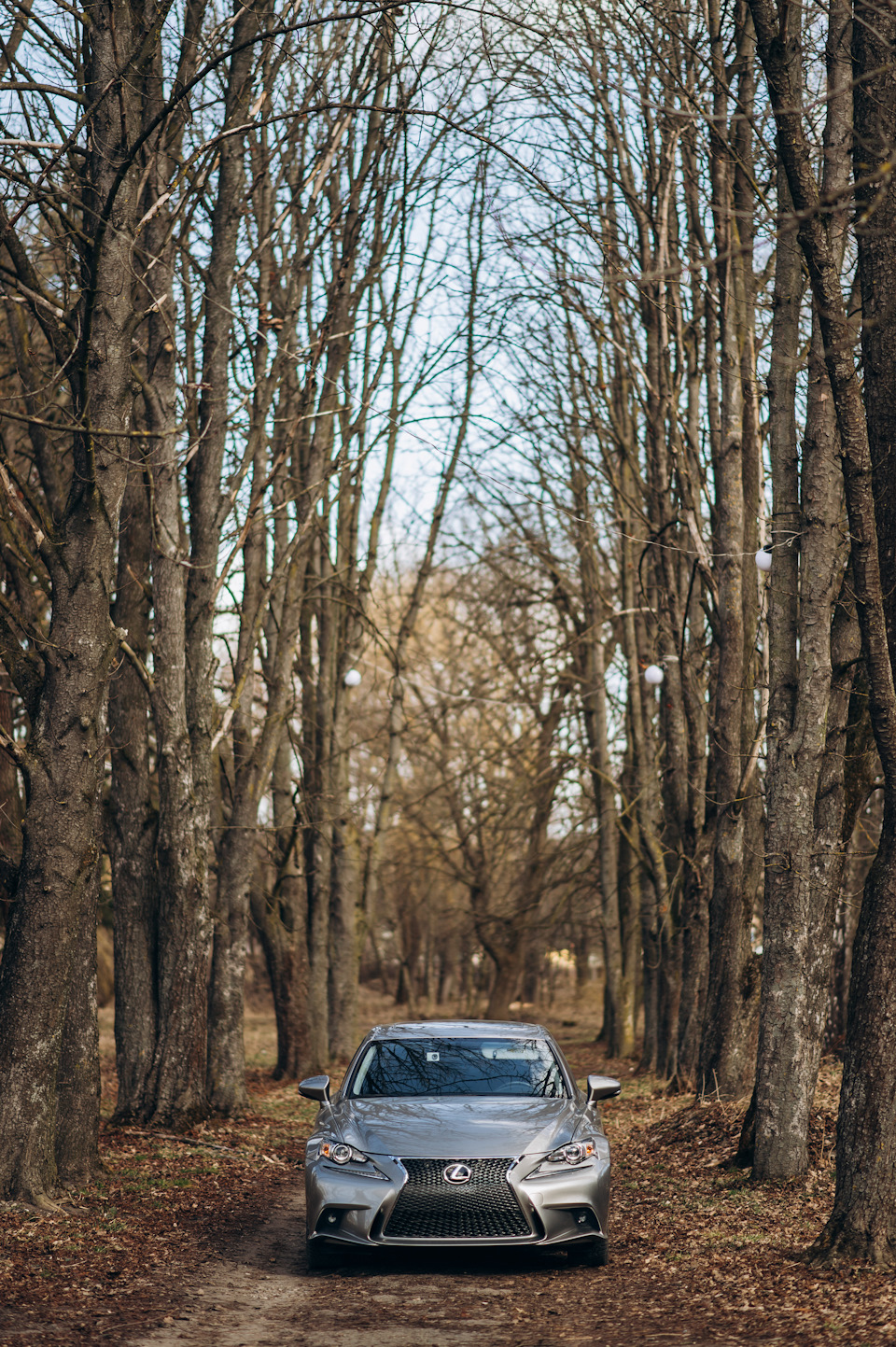 Фотосесія 3