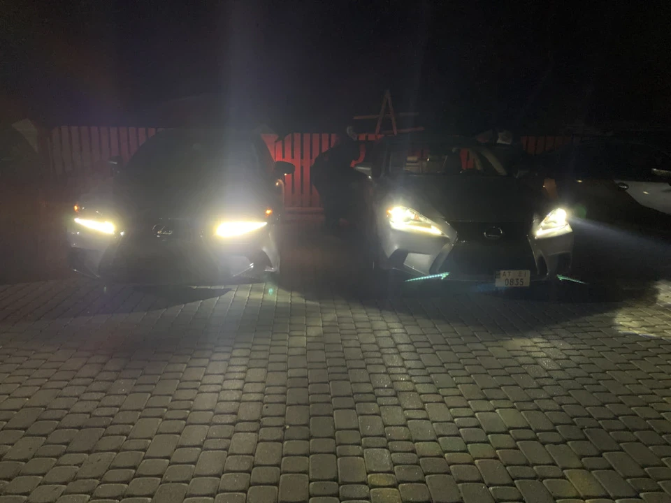 Поїздка до Карпат