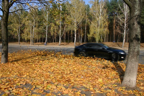 Осінь…:-) 4