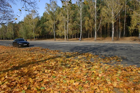Осінь…:-) 2