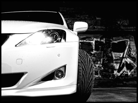 Black&White 5