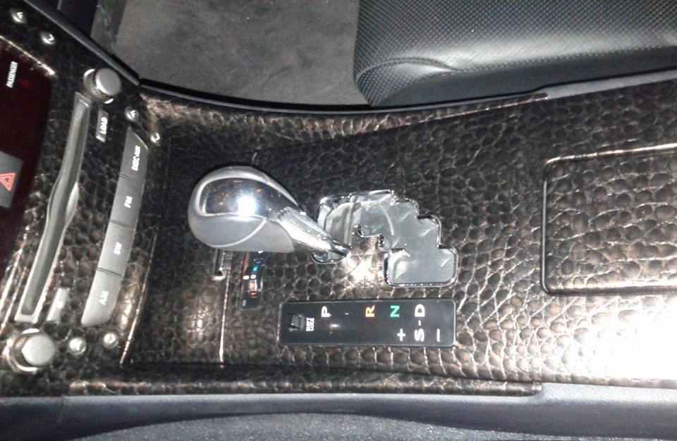 Alligator Leather 2