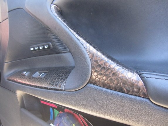 Alligator Leather 5