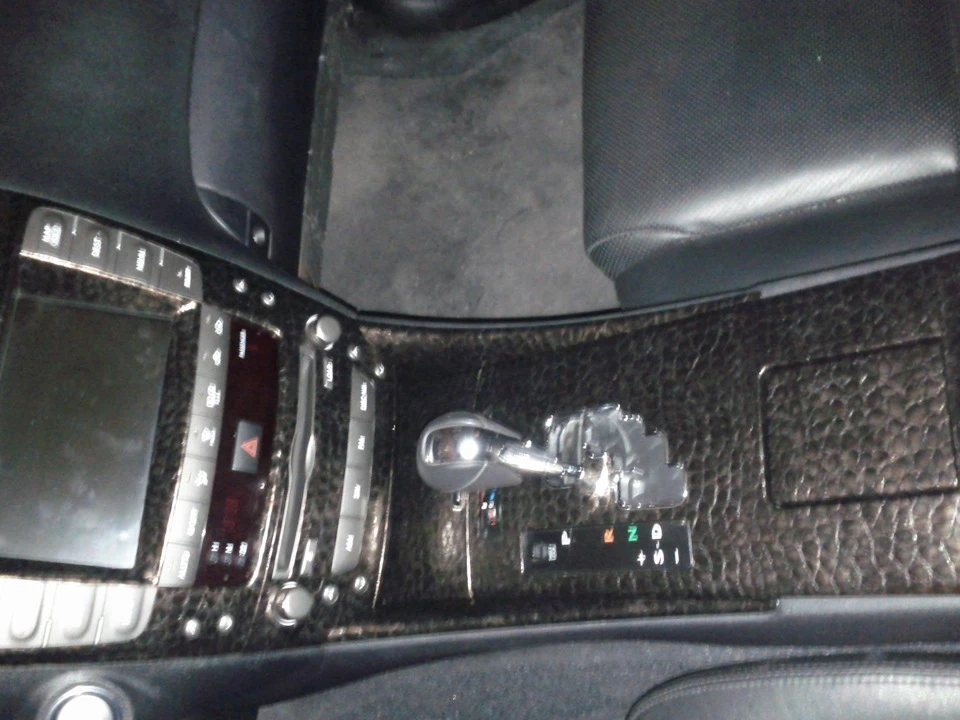 Alligator Leather