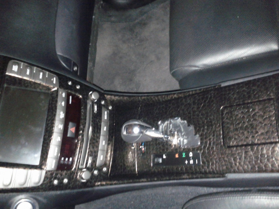 Alligator Leather 1