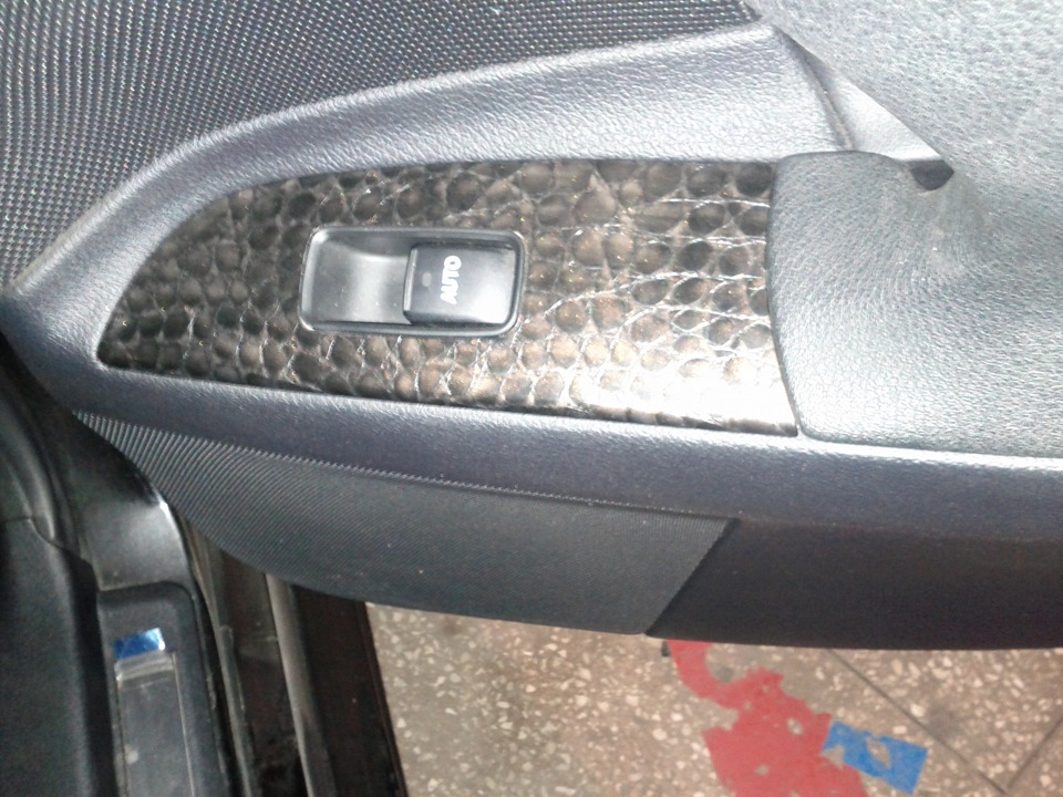 Alligator Leather 3