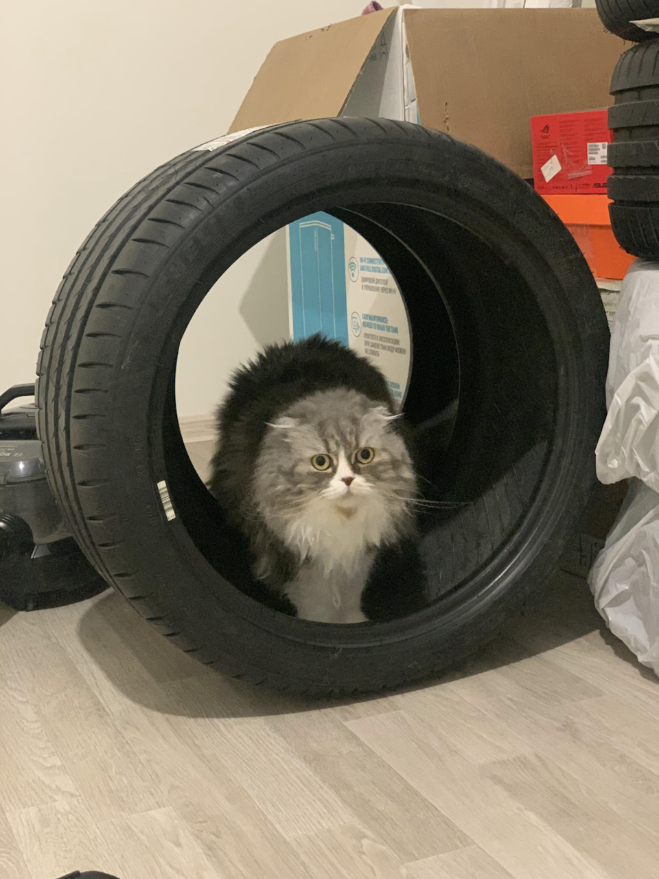 Нові тапки на літо. Michelin Pilot Sport 4. 4