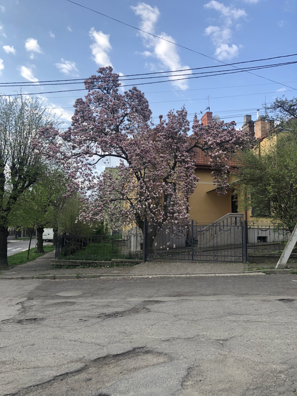 Підлікували після ДТП 2