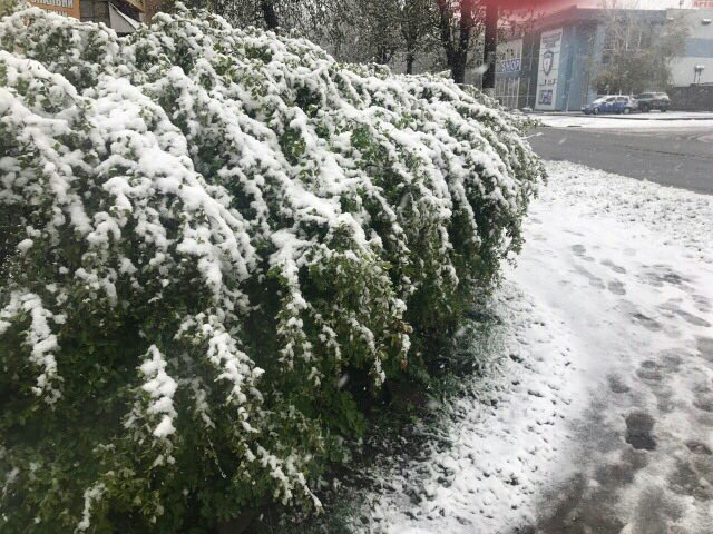 Квітневий нежданчик ... 3