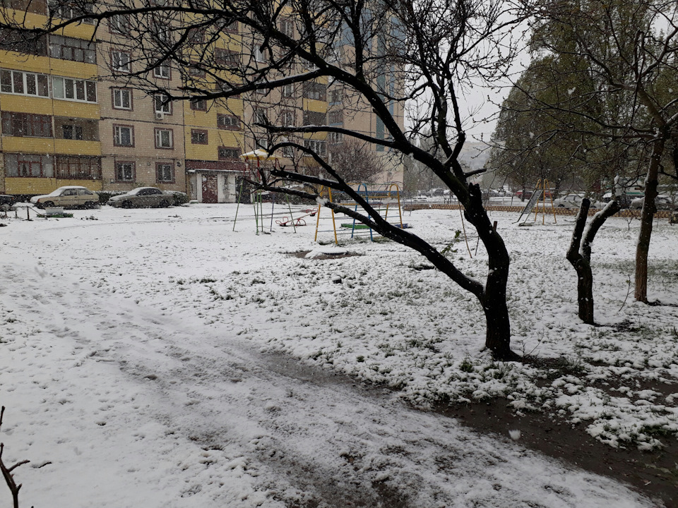 І знову сніг... 2