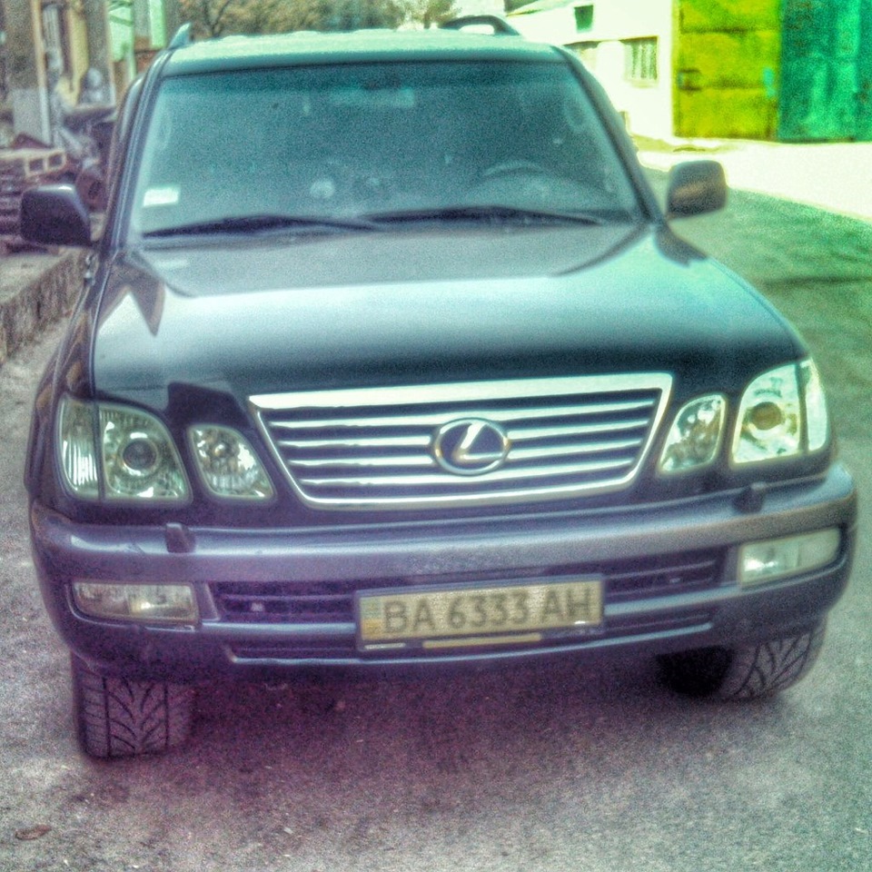 Красуня 5