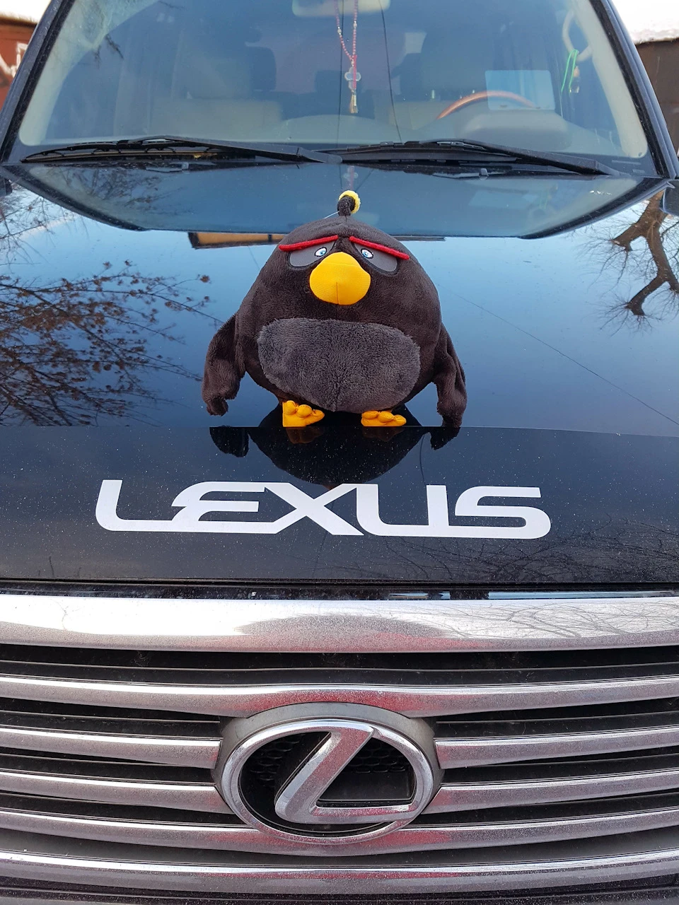 Lexus vs Bomber