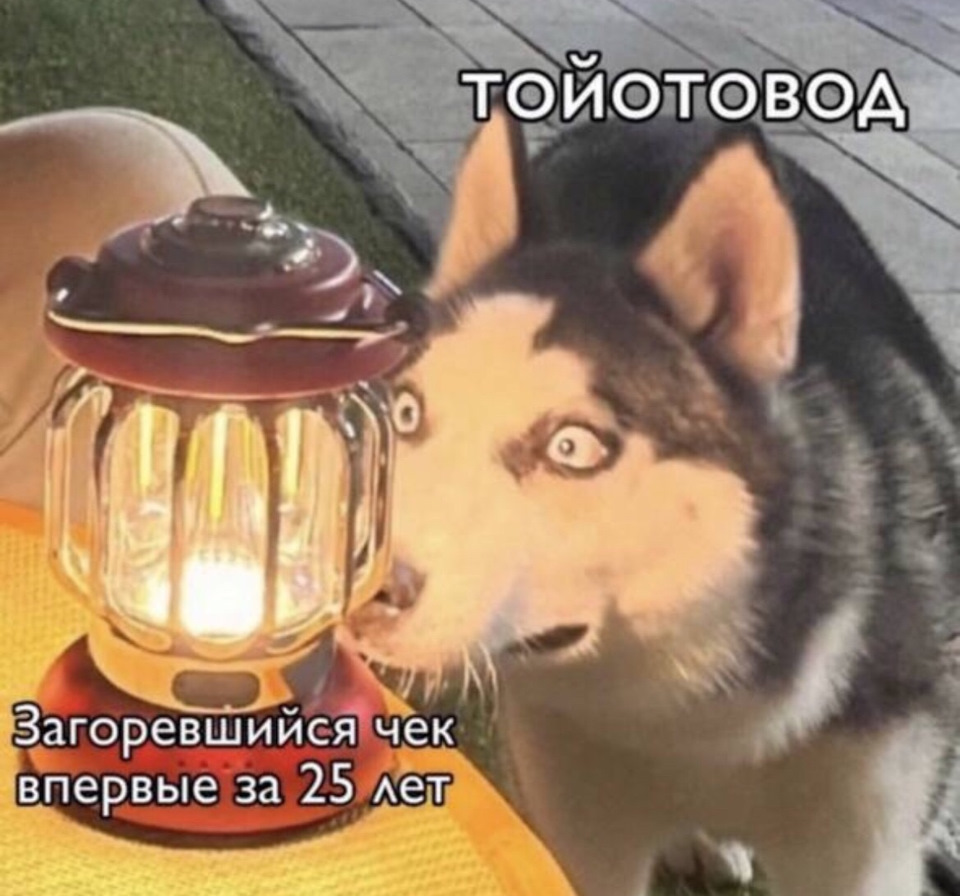 Виправляємо помилки P0441 та P1421 по системі EVAP 1