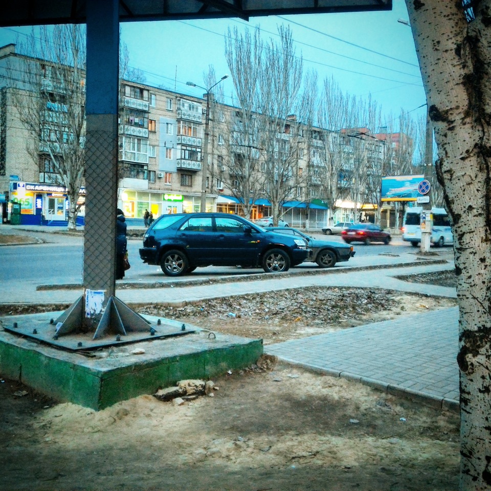 Літні котки 4