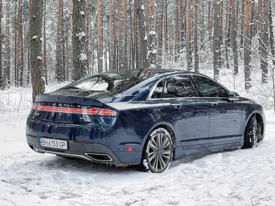 І як же без зимових фоточок. 2