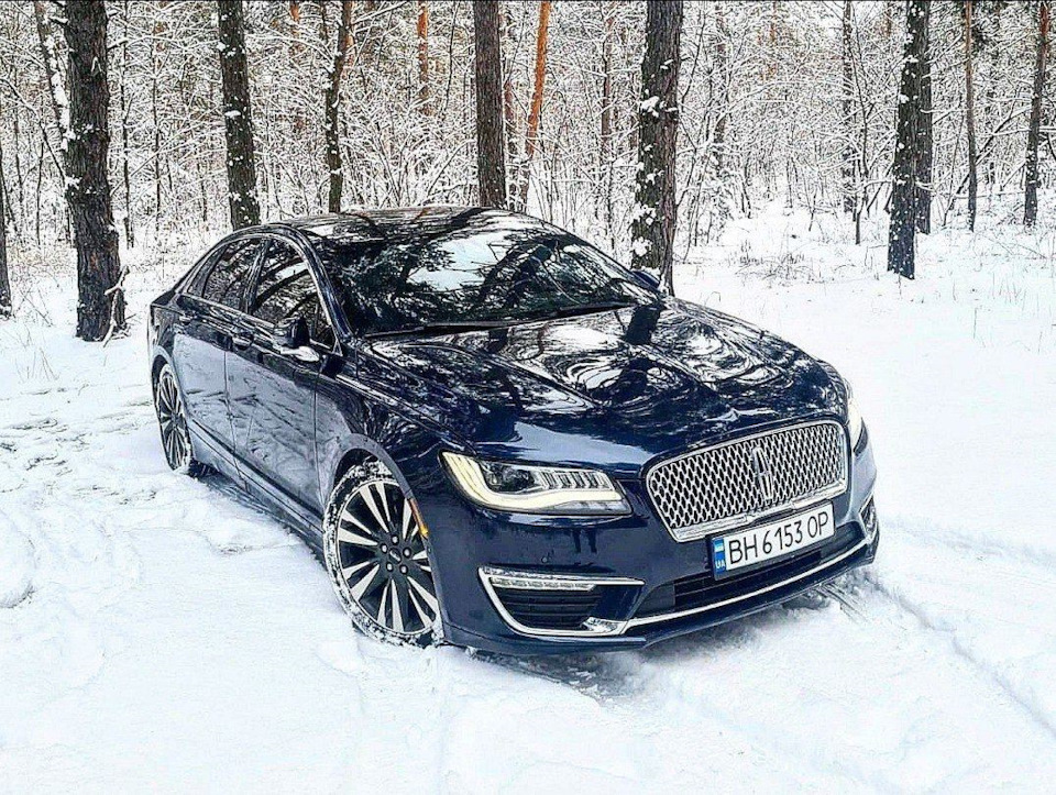 І як же без зимових фоточок. 1