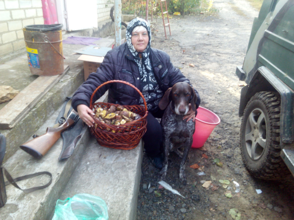 До грибів добралися (продовження) 1