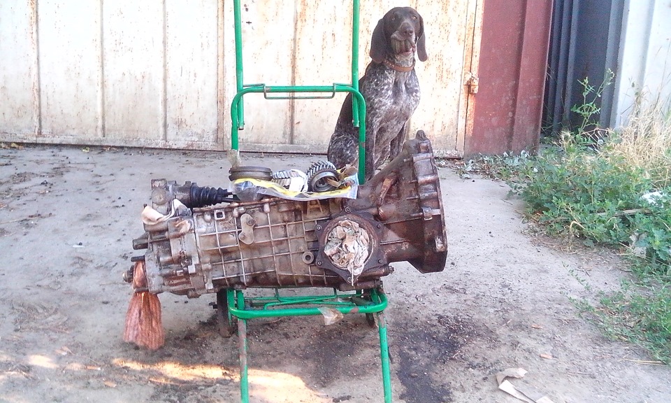 коробас)))) 3