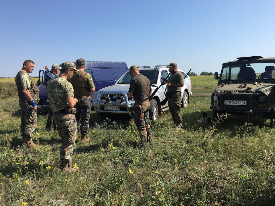 ДРАКОН у місті і не тільки… 3