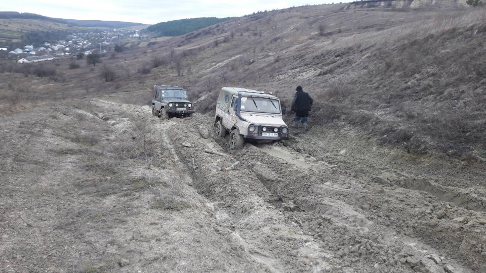 Поїздка за ялинкою:) 3