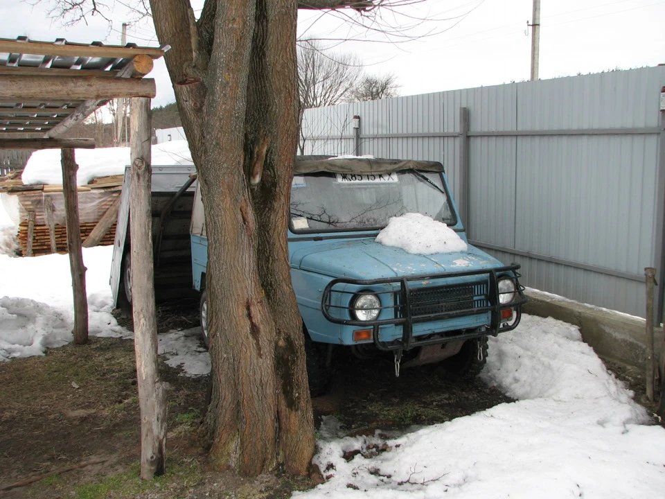 Провідав Луазку взимку в селі