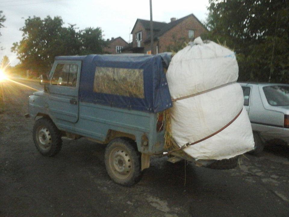 І знову сіно! 1