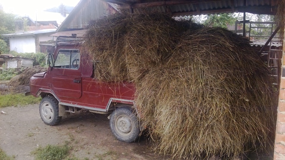 Возимо сіно 1