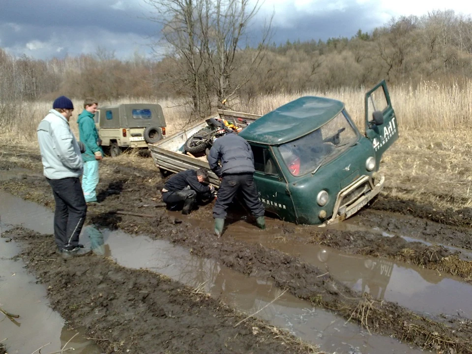 Покотушки