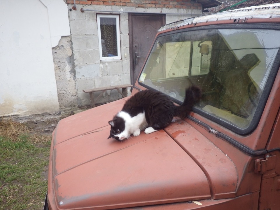 Новий дах 1