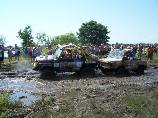 Фріфест від ОРМ 5