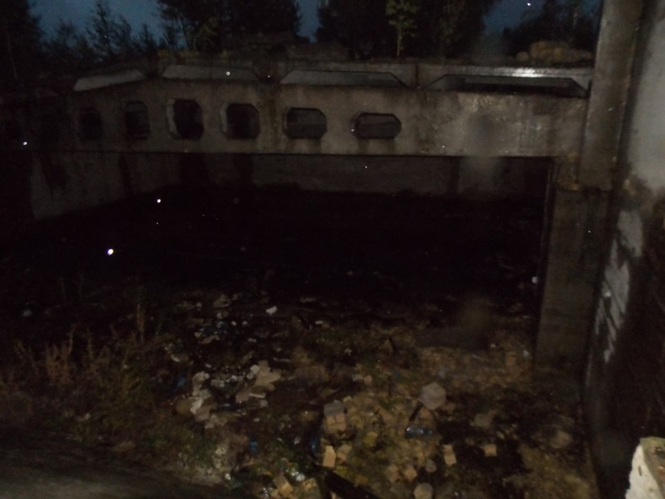 У лісі та під дощем 5