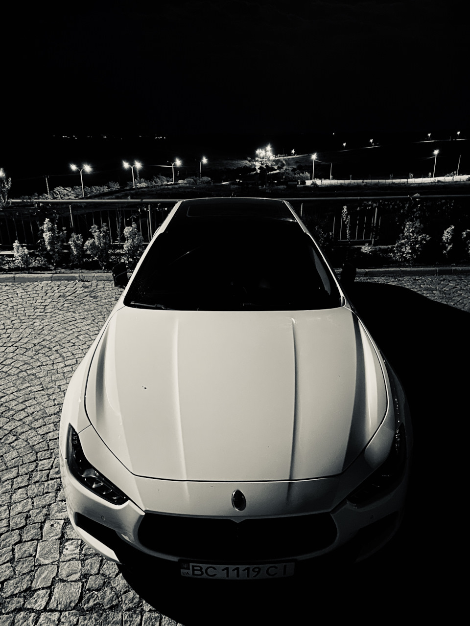 Night elegant beast 3