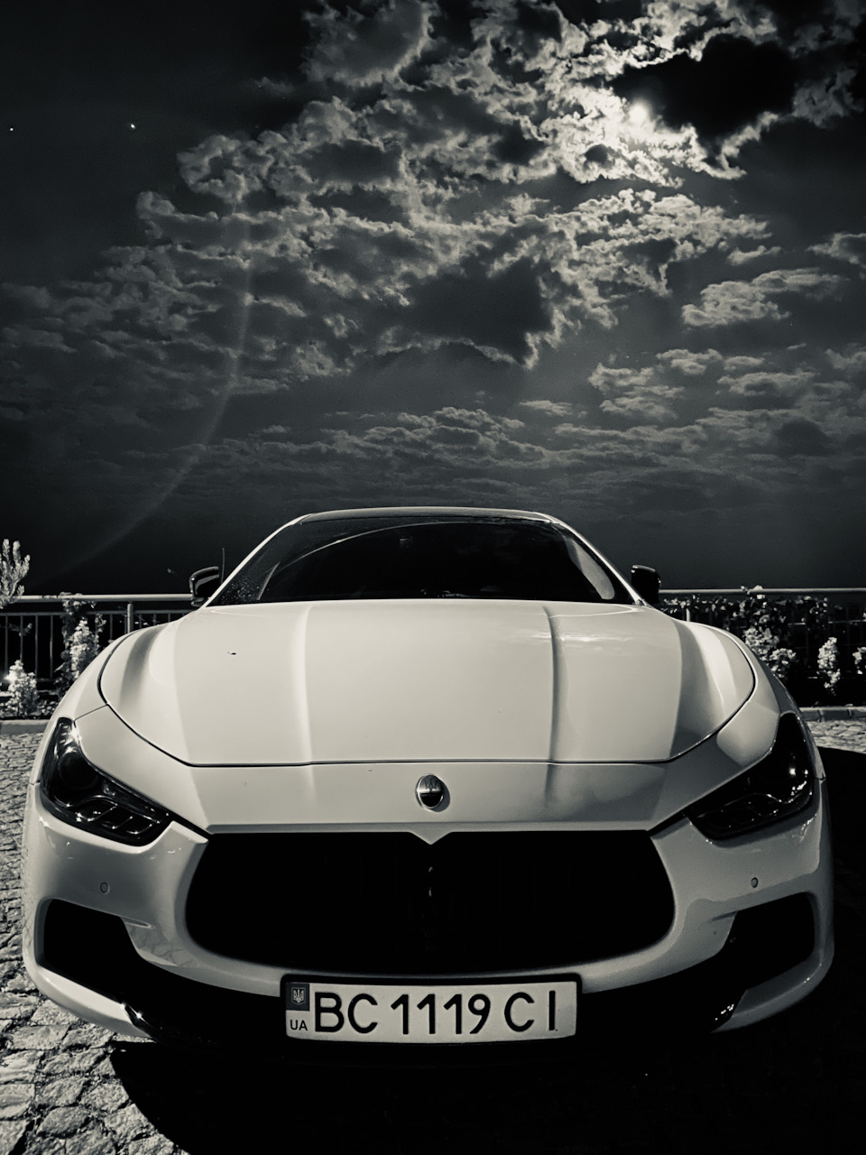 Night elegant beast 2
