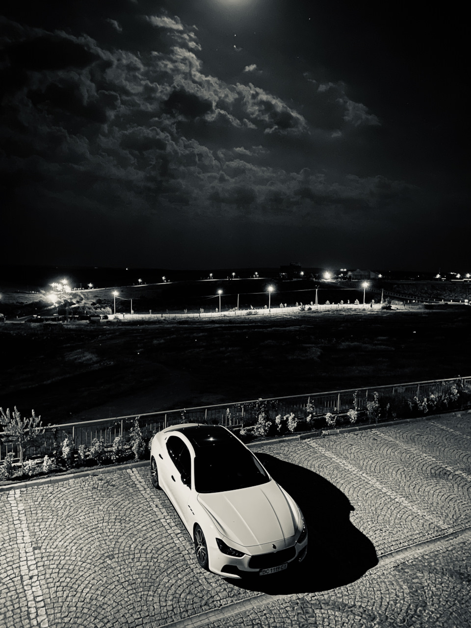Night elegant beast 4
