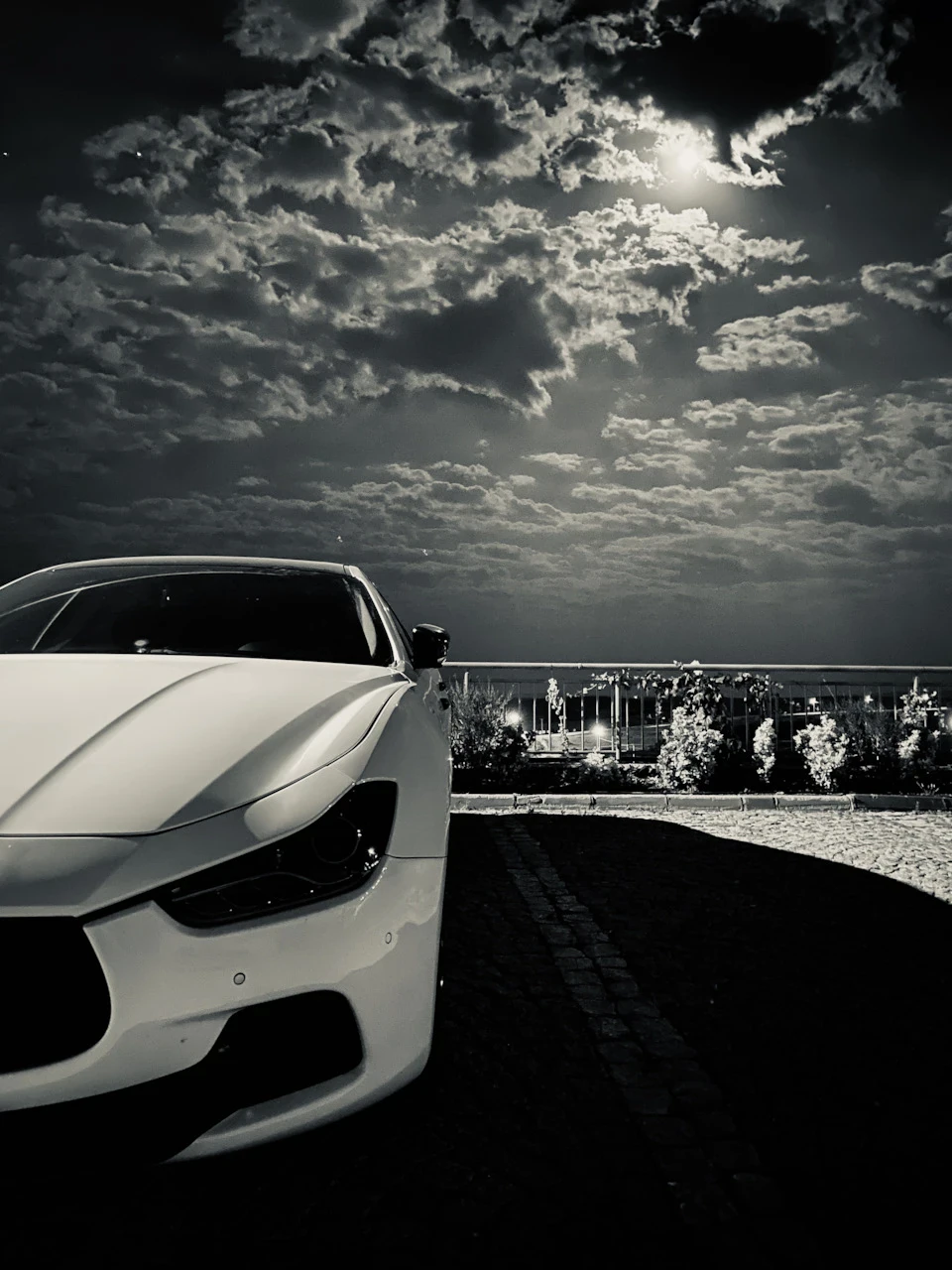 Night elegant beast