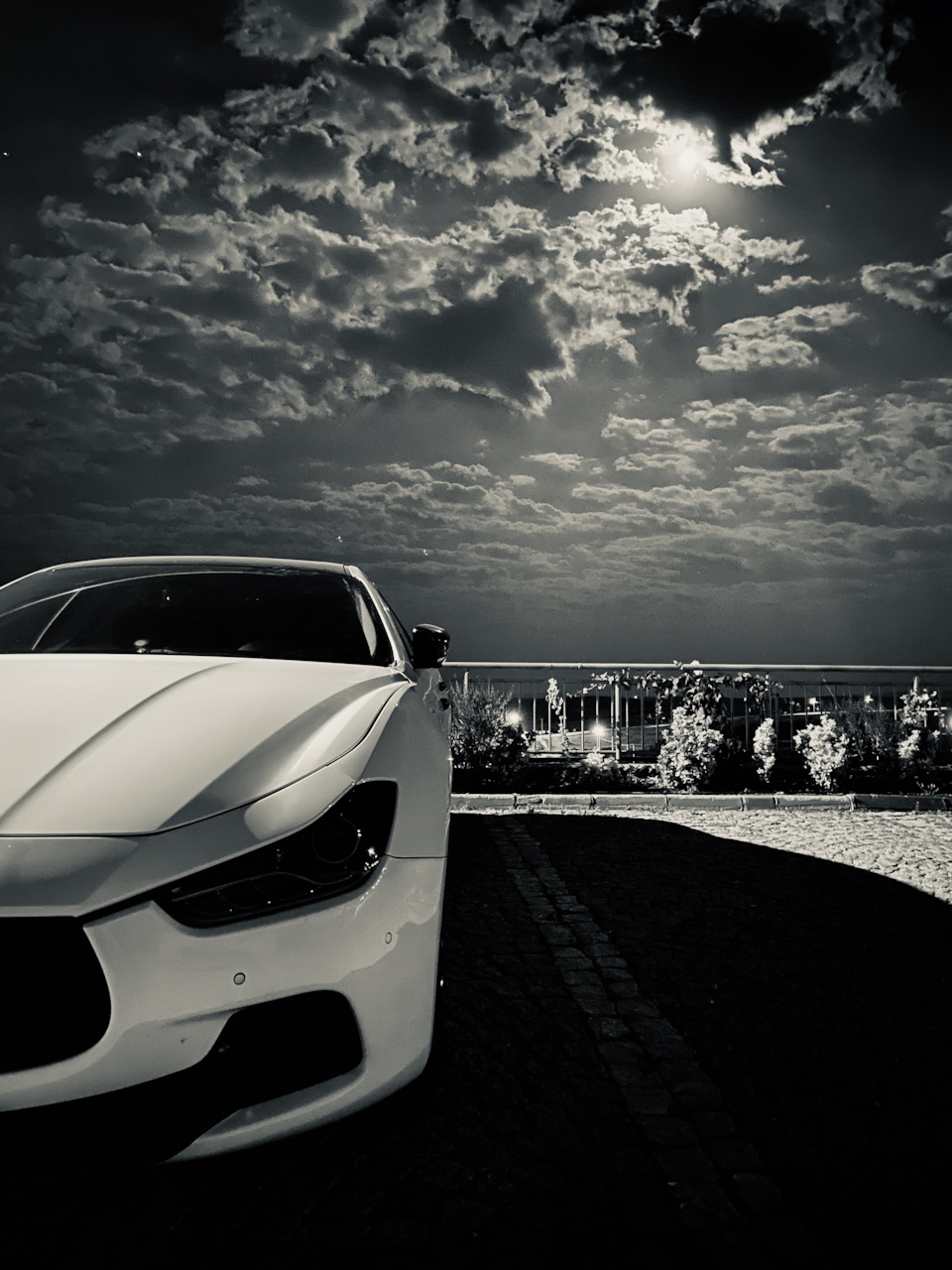 Night elegant beast 1