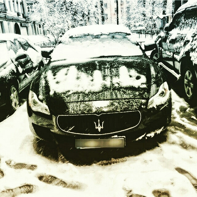 Скотиняки!😬 2