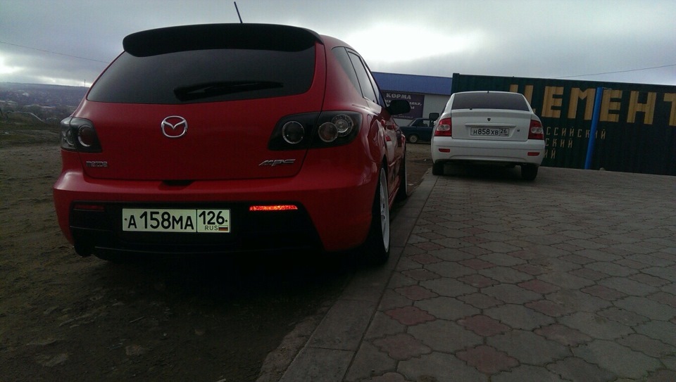 Фото мопса 1