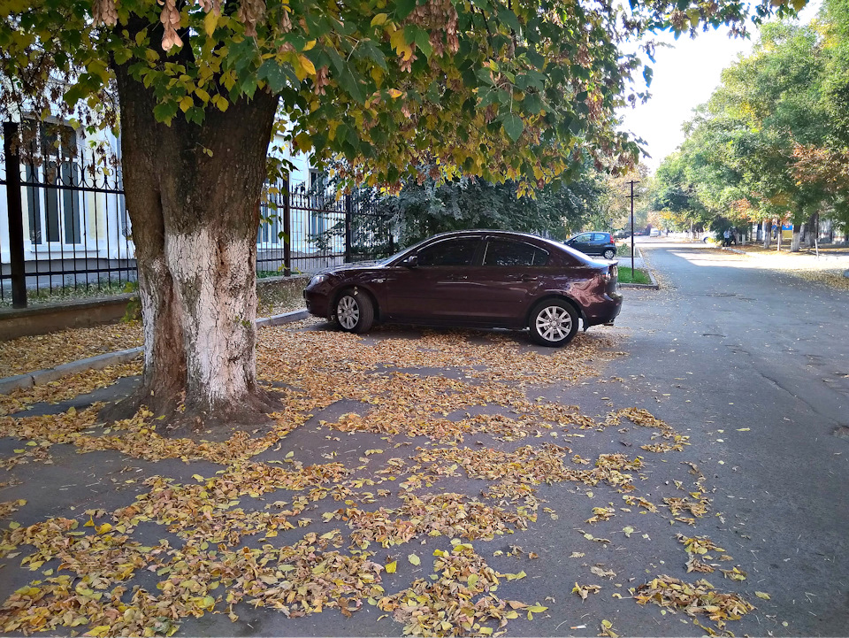 Тонировка. 3