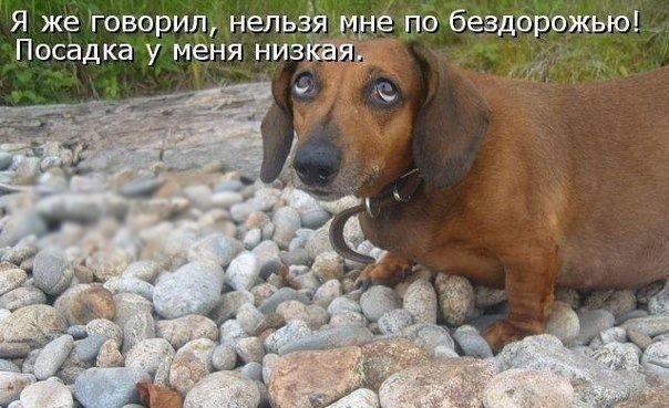 Не помітив у дощ бордюр (все обійшлося) 1