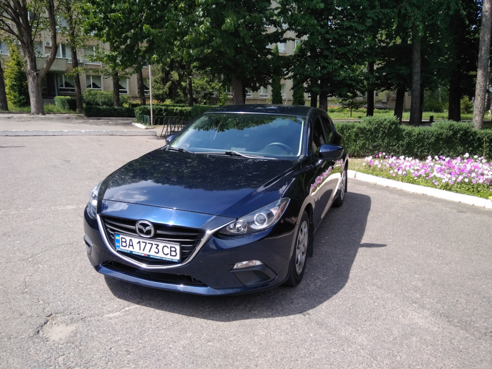 Красуня продана) 5