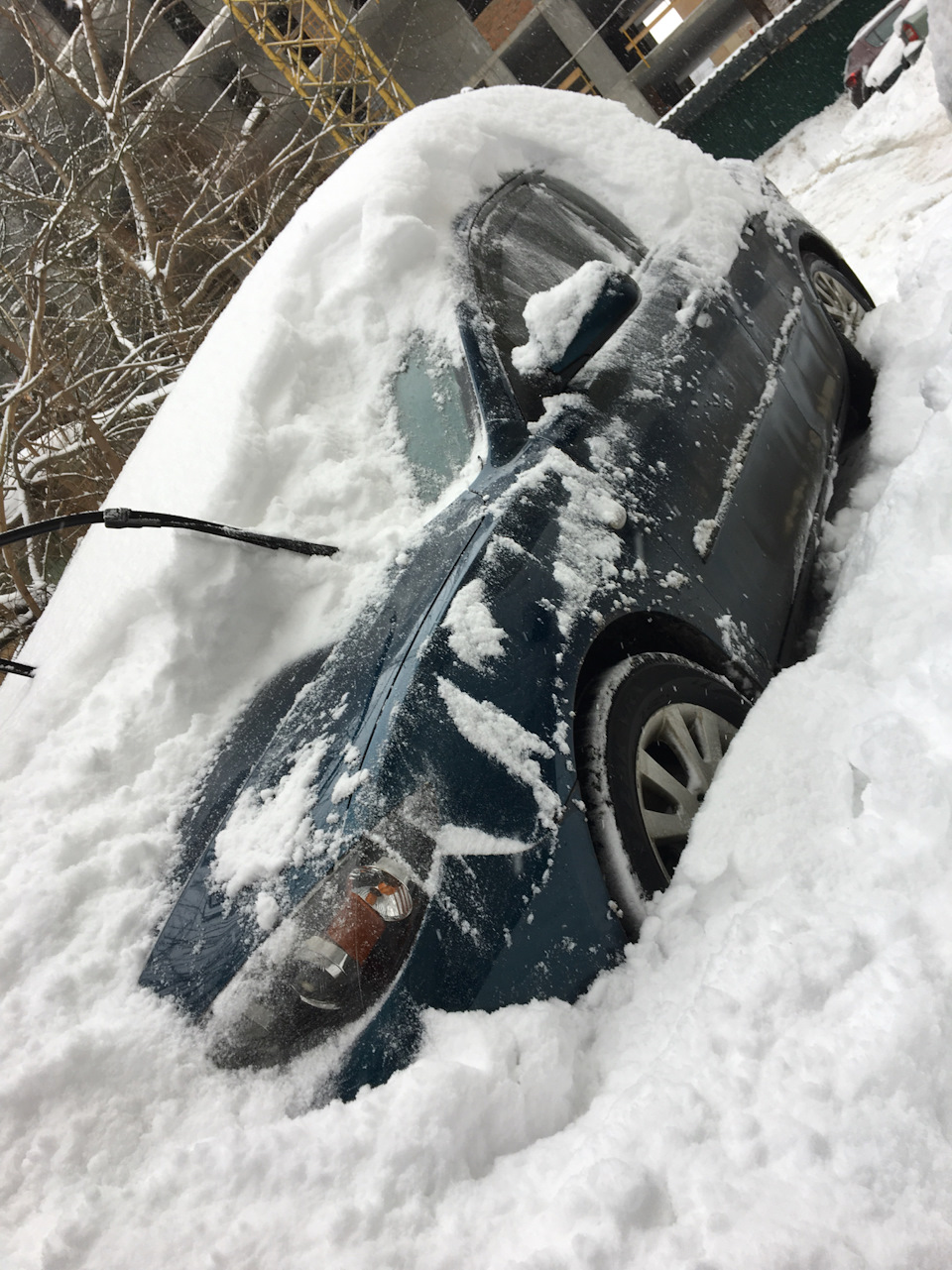 Розвага для дорослих, називається: відкопай мене) 😲❄️👍🏻 2