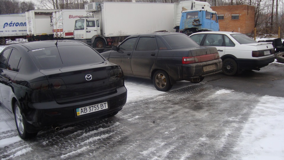 Зустріч клубу, покотушки… 2