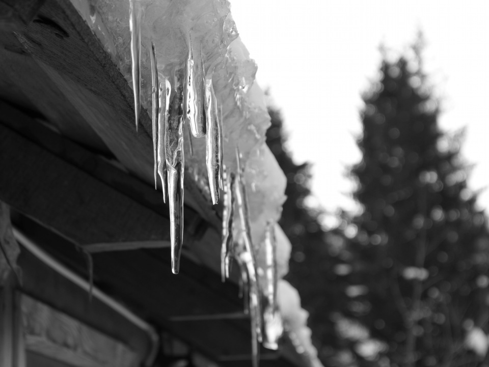 Карпати 2012 2