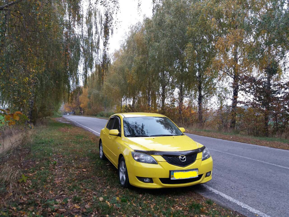Осінь! 2017 1