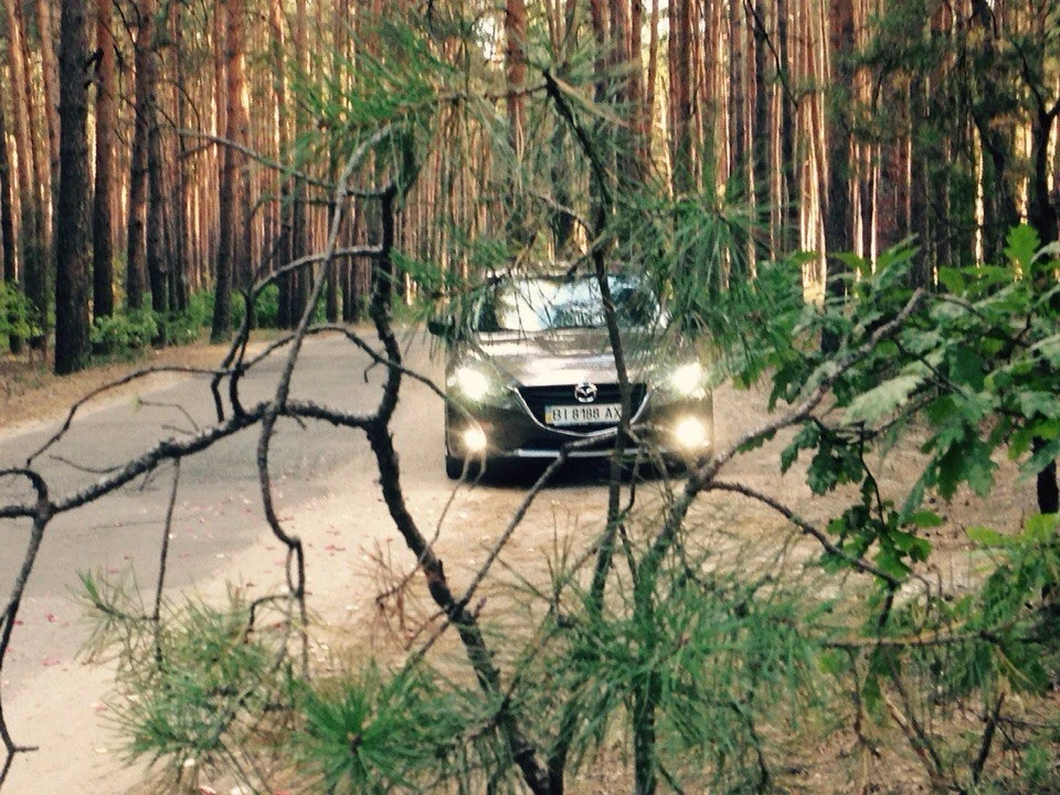 Володіння трьох 3 місяців